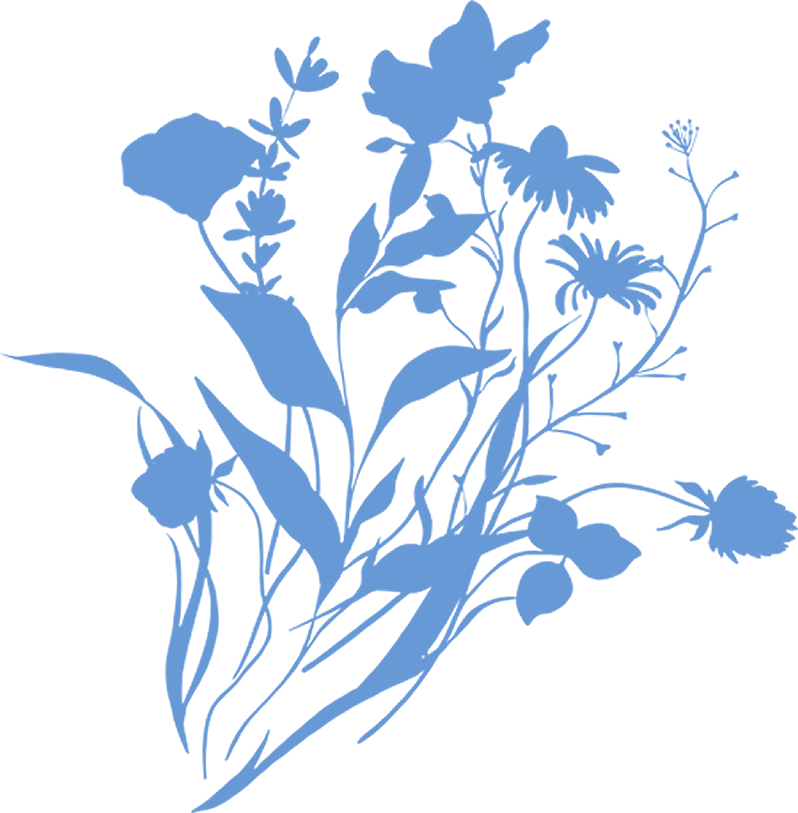 flowers2